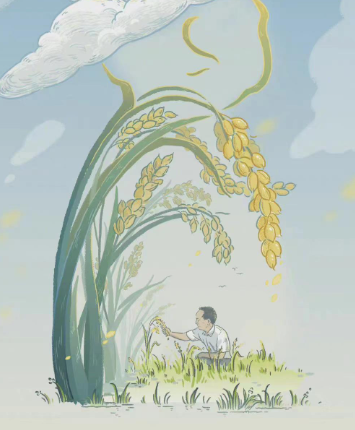 辛小湘丨杂交水稻制种一月两突破,回答了这三个问题