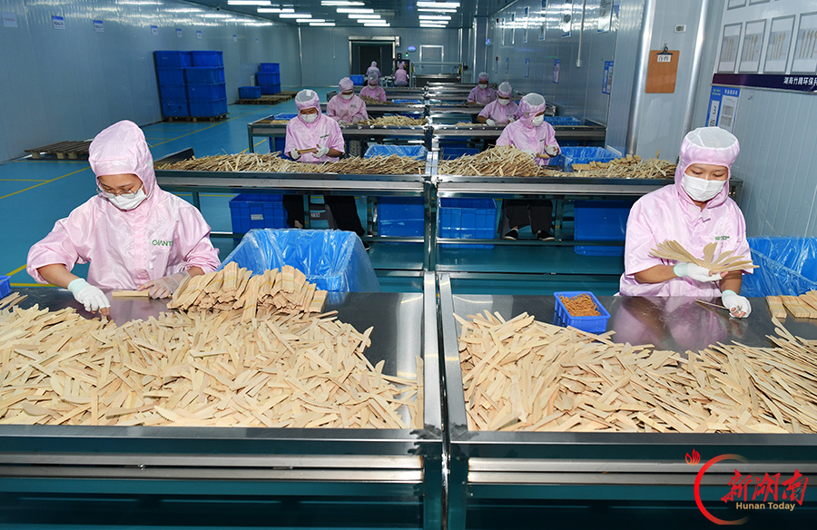 以竹代塑 研制环保餐具