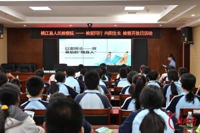 凝聚“六大保护”合力 筑牢未成年人成长屏障——桃江县检察院未成年人检察工作侧记