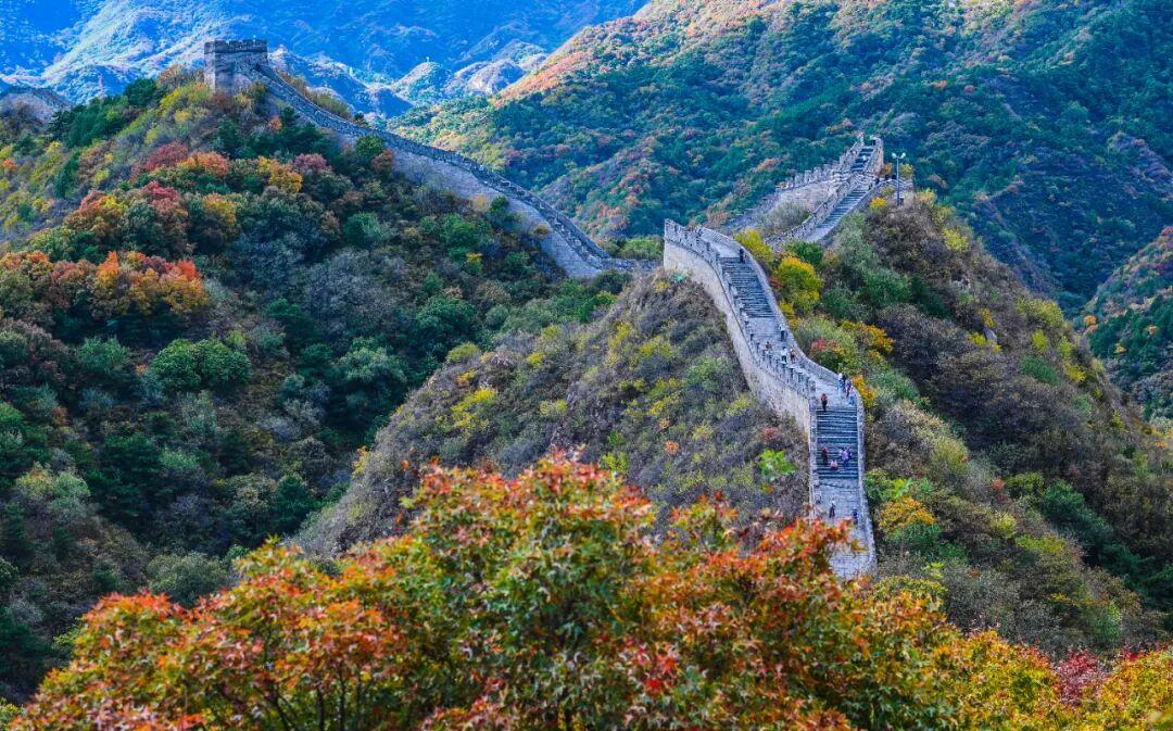 红叶不等人!八达岭长城最佳观赏期只有二十天,错峰出行人少景美
