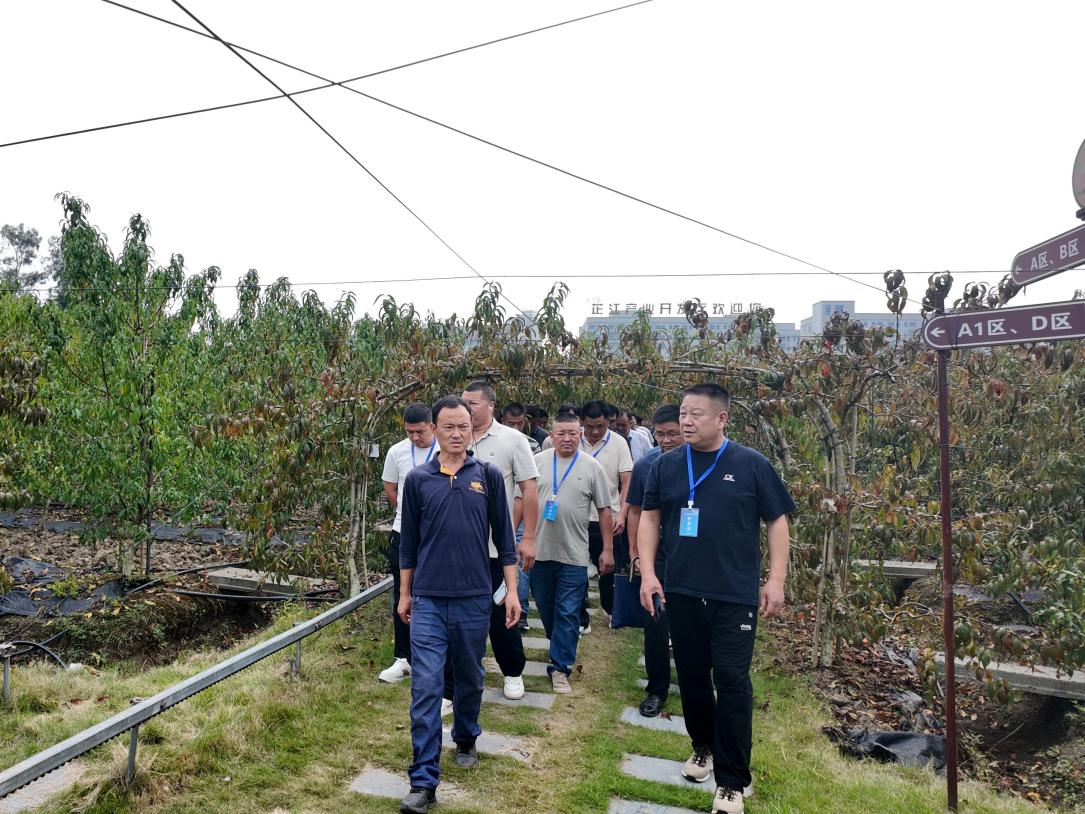以学促干拓思路 交流互鉴助振兴——2026年（开福、城步、龙山）乡村振兴人才培训班开班