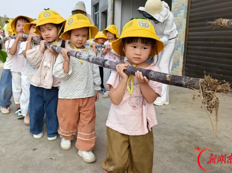 图片新闻丨江华思源幼儿园：“蔗里很有趣”田间农耕课堂赋能劳动教育