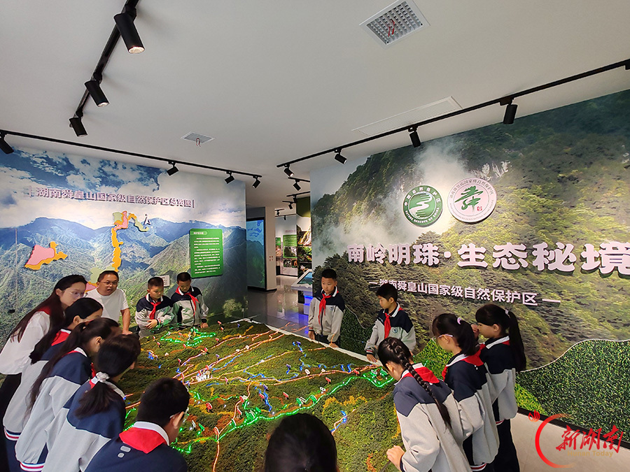 研学探自然
