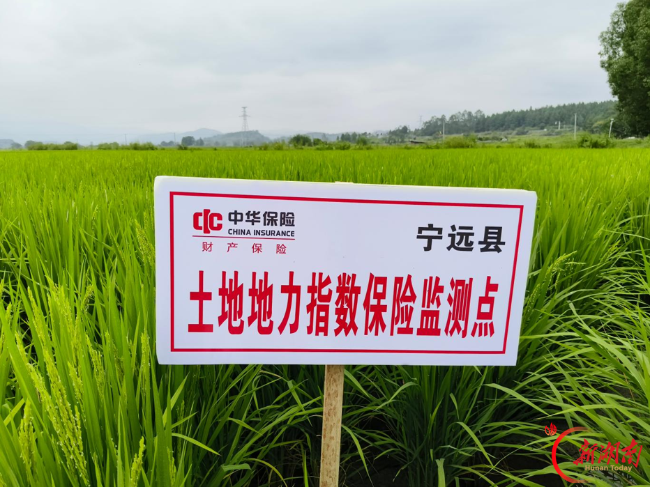 宁远落地土地地力指数保险 科技赋能守牢耕地红线 