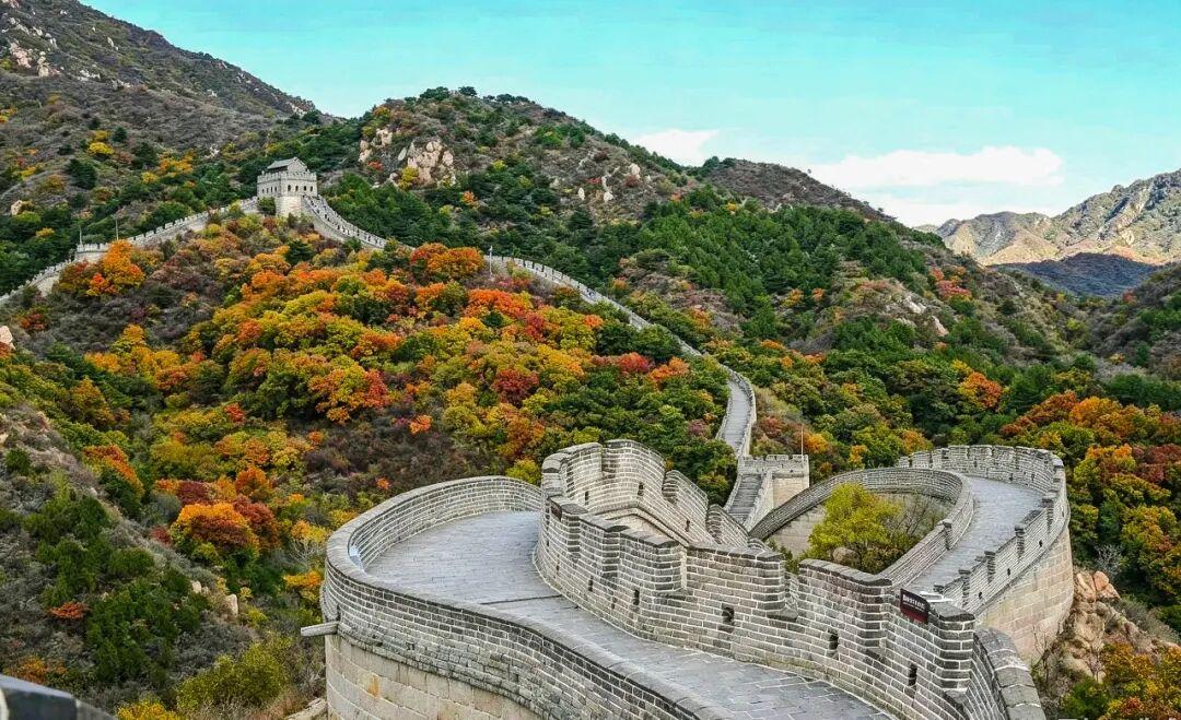 红叶不等人!八达岭长城最佳观赏期只有二十天,错峰出行人少景美