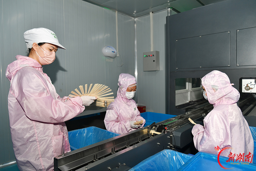以竹代塑 研制环保餐具