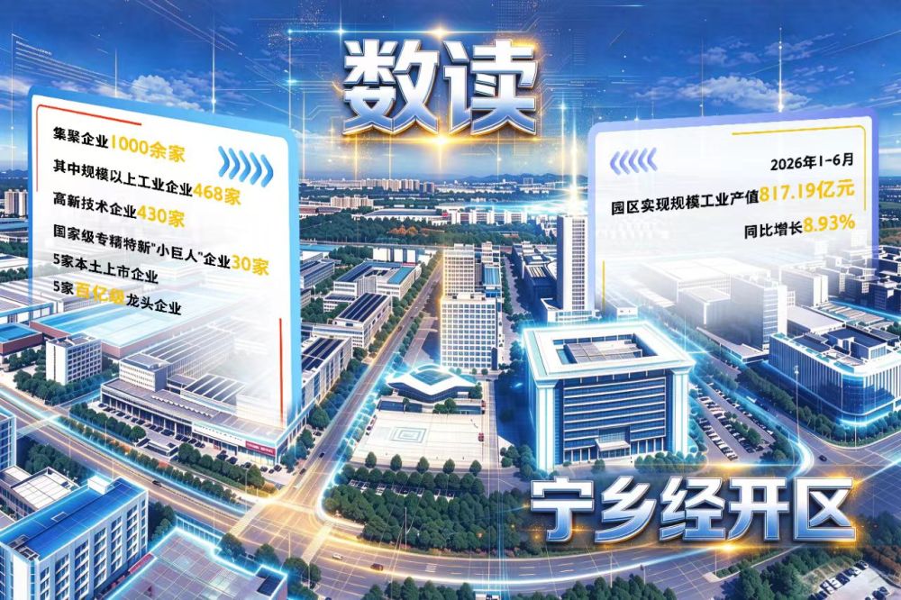 “链”上成势　“海”中破浪　“新”里寻机——宁乡经开区进阶的“三部曲”