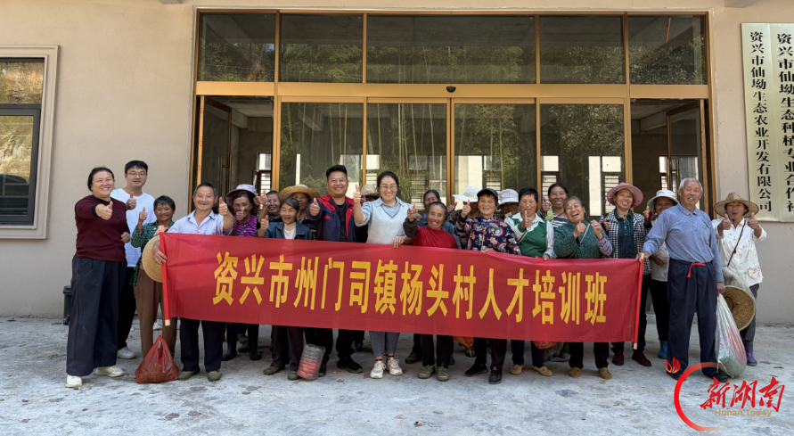 资兴市州门司镇杨头村:党群搭台育人才 茶技飘香强产业