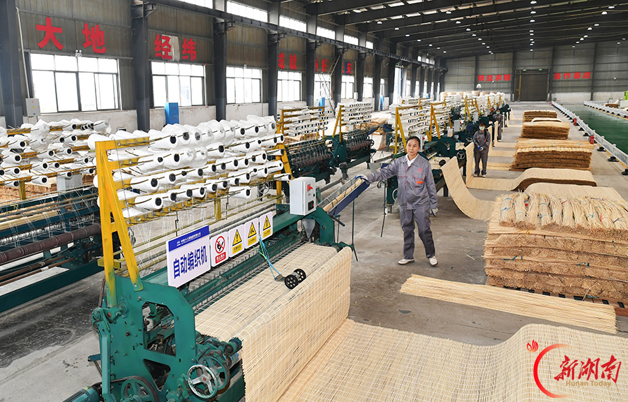 以竹赋能绿色基建