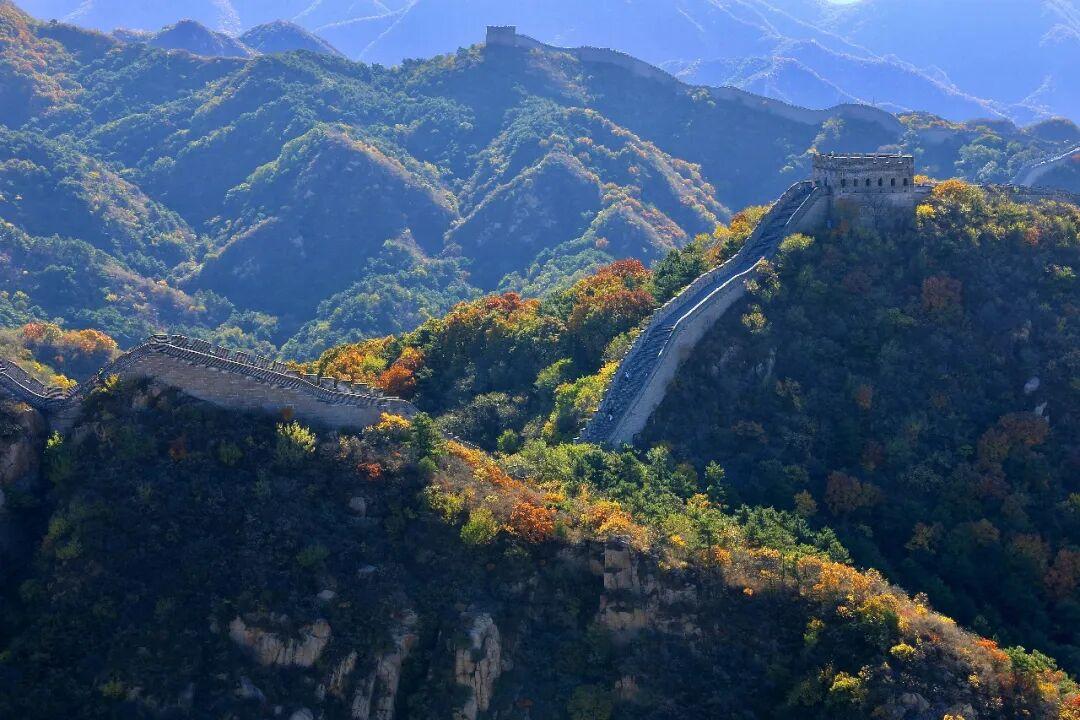 红叶不等人!八达岭长城最佳观赏期只有二十天,错峰出行人少景美
