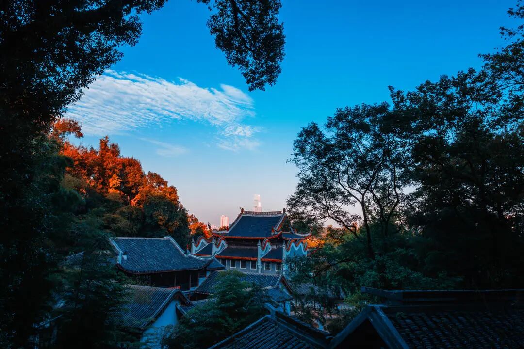 湖南真美·一周精选 ㉛丨秋深如许,湖南正当时……