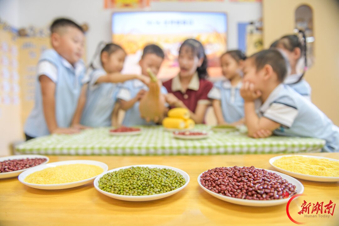 道县：爱粮惜粮 从小做起
