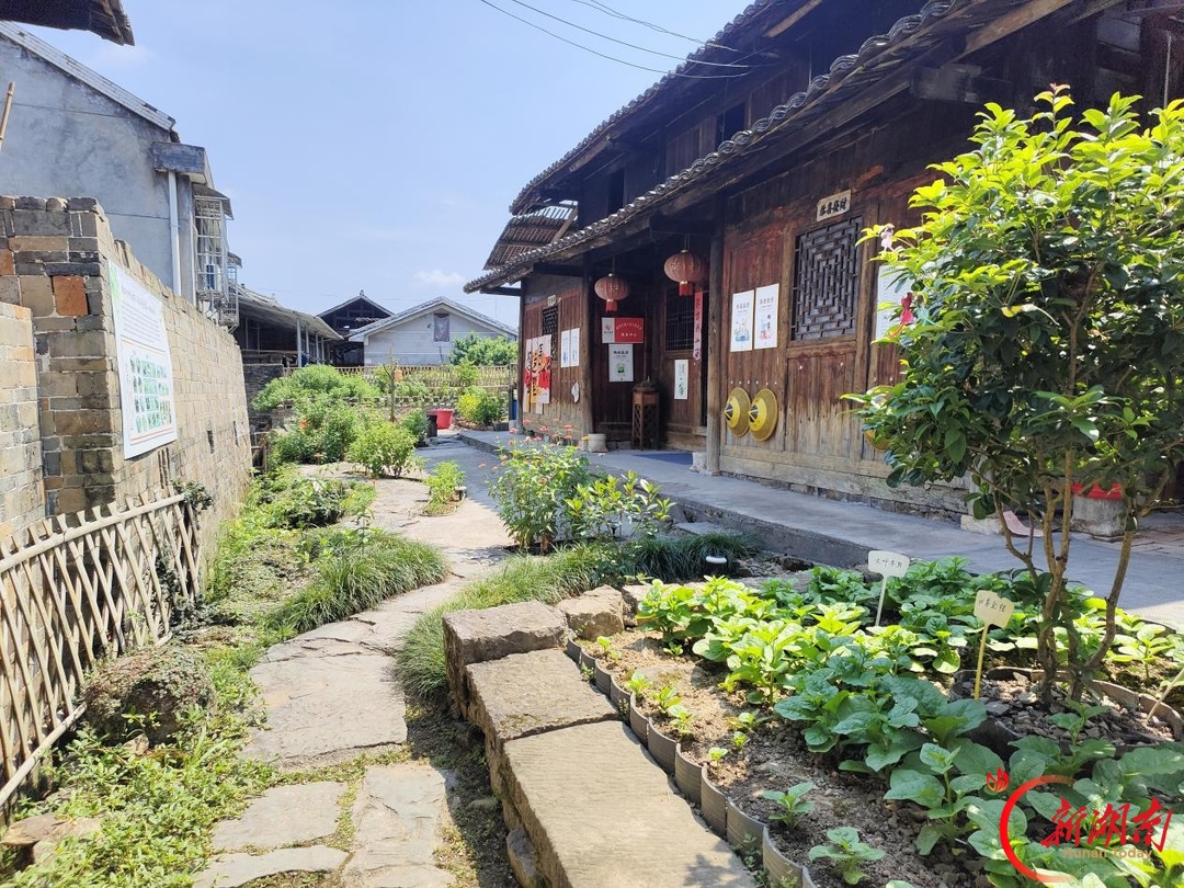 深度 | 银发生辉 乡土新生——七旬老知青陈淑华和她的“第二故乡”