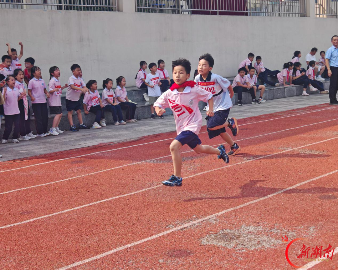 益阳市石码头小学:燃动金秋逐梦赛场 普特融合润泽童心