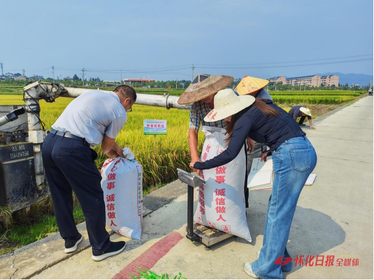 科技赋能稻花香——怀化职院水稻绿色防控示范项目测产验收