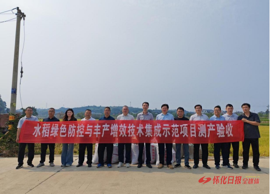 科技赋能稻花香——怀化职院水稻绿色防控示范项目测产验收