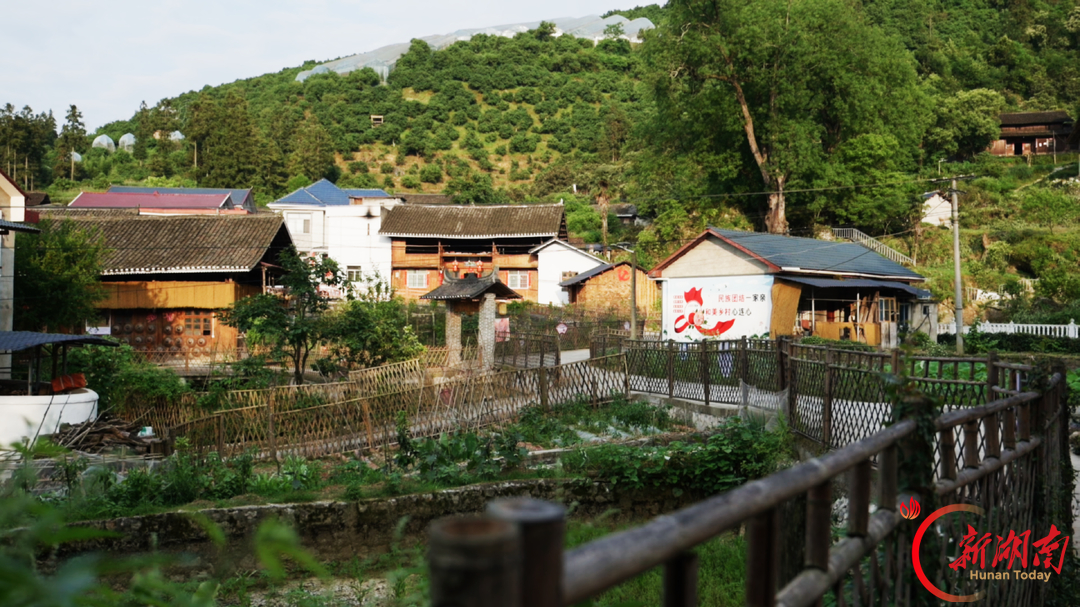 深度 | 银发生辉 乡土新生——七旬老知青陈淑华和她的“第二故乡”