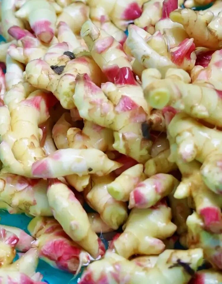 老巷里的姜香味