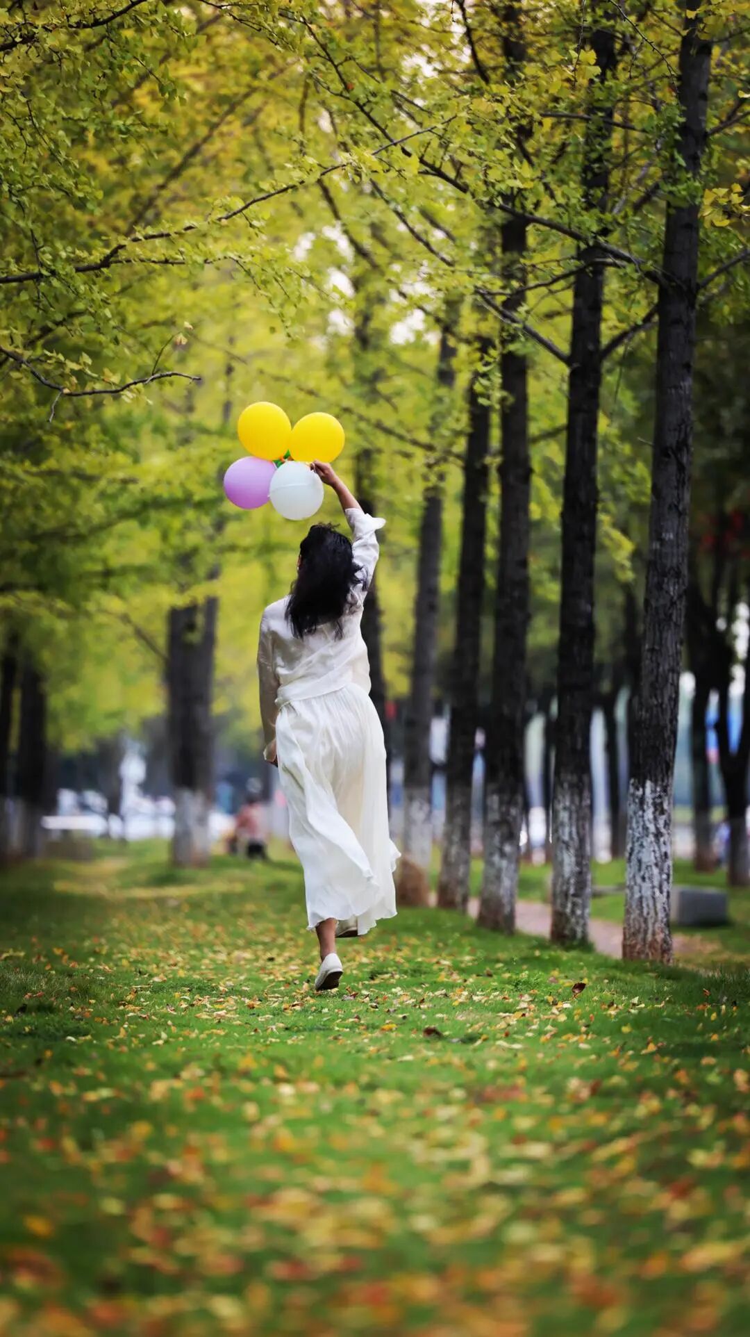 湖南真美·一周精选 ㉛丨秋深如许,湖南正当时……