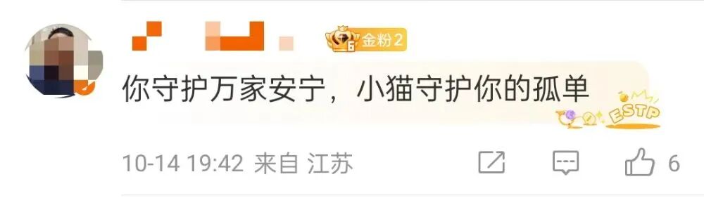 全网刷屏的天安门站岗小猫“进宫”了?故宫回应:目前在医院检查,会优先找领养