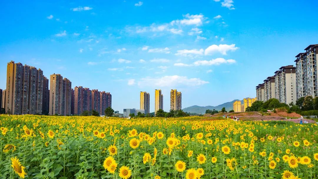 湖南真美·一周精选 ㉛丨秋深如许,湖南正当时……