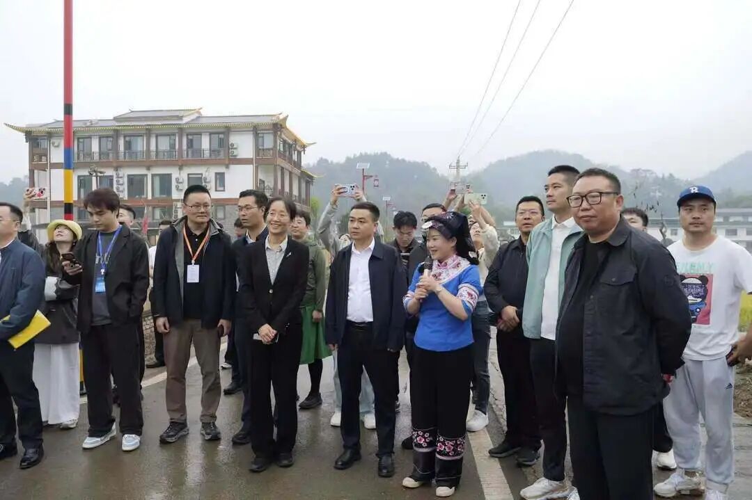 全国新的社会阶层人士“新艺中国·数艺无界”主题服务考察团走进桑植