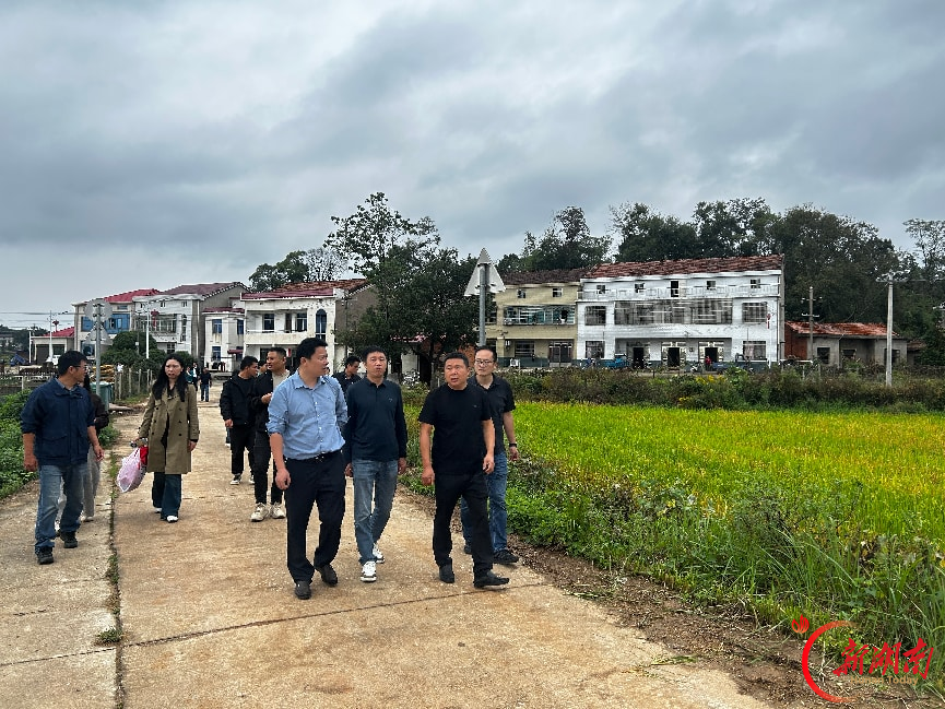 落实农技包联机制 筑牢粮食安全生产防线