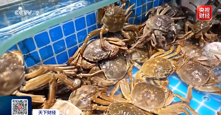 价格接近腰斩 你爱吃的它,集体降价了