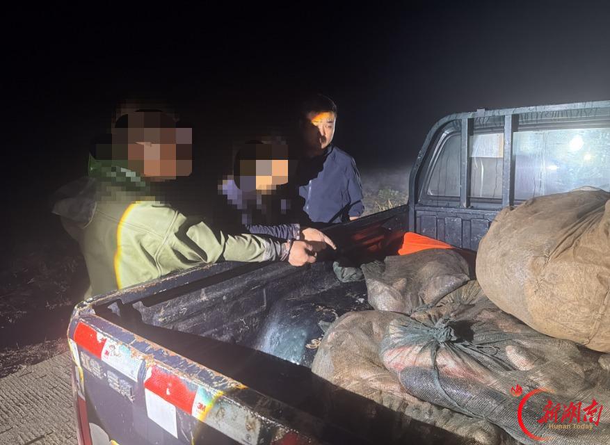 凌晨出击!岳阳多部门联合执法查获一起非法捕捞案