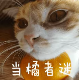 为什么现在吃橘不再开“盲盒”了 ?