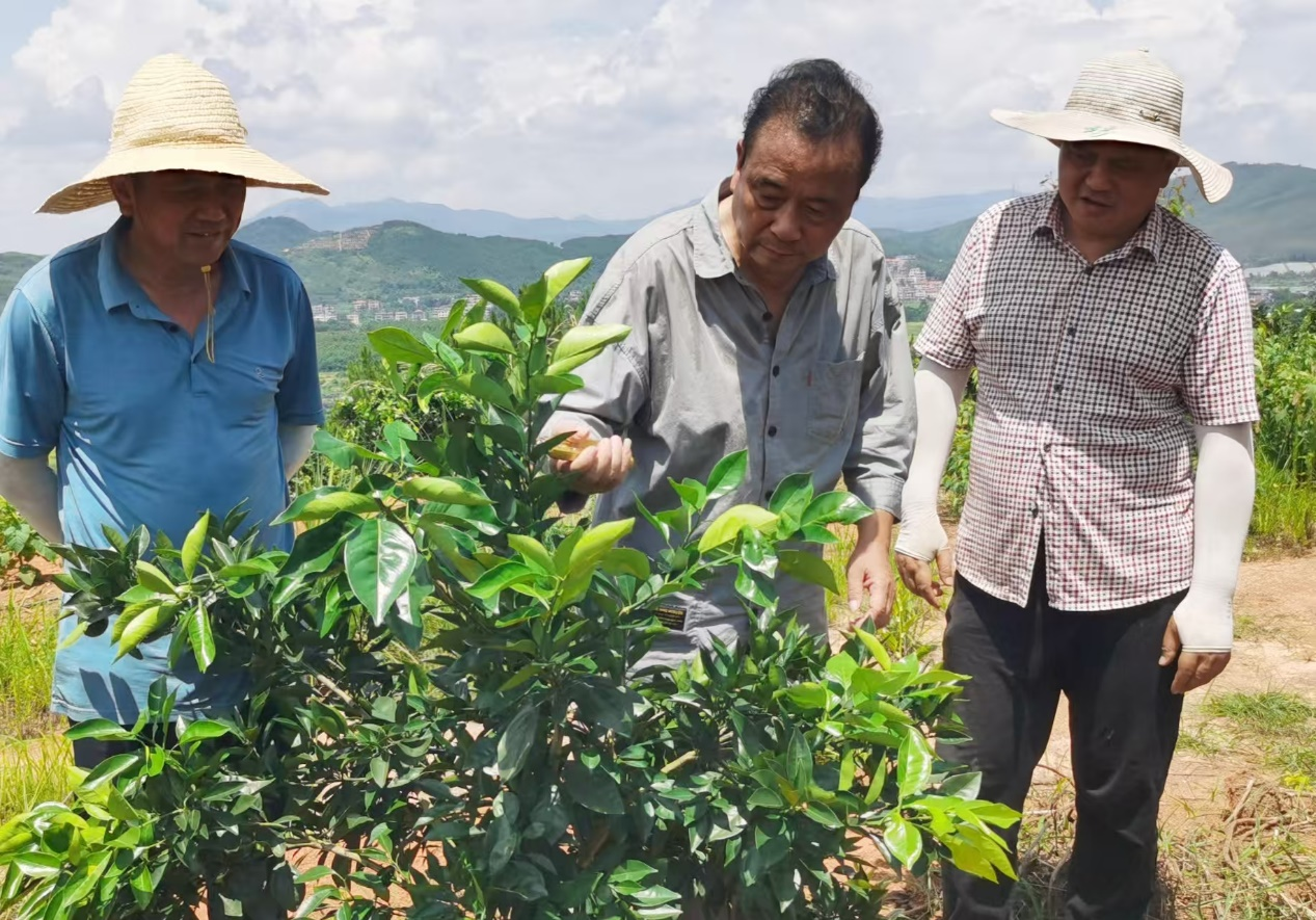 谭振华：退而不休守沃土 果甜茶香映初心｜潇湘银辉