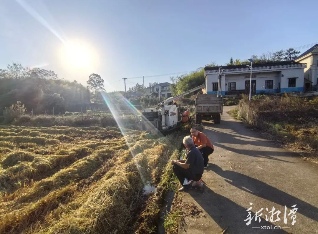 一渠碧水串起两岸丰收图——韶山灌区秋收走访侧记