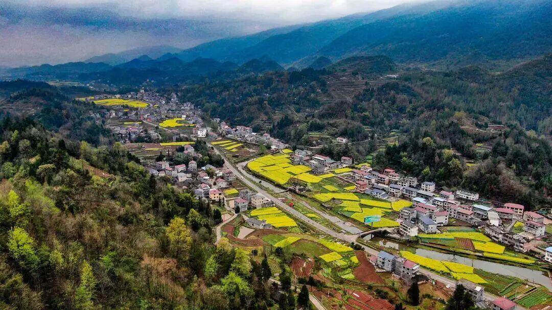 深耕乡土兴百业 绘就乡村振兴新图景