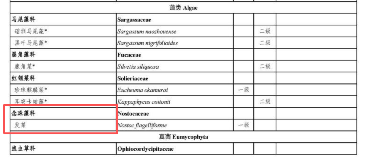火遍全网的发菜到底是什么“菜”?有店主因采卖获刑