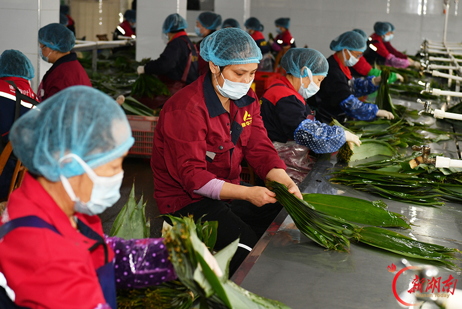 一片粽叶助农增收