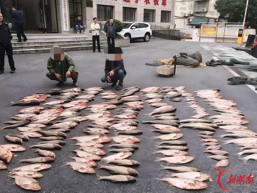 凌晨出击!岳阳多部门联合执法查获一起非法捕捞案