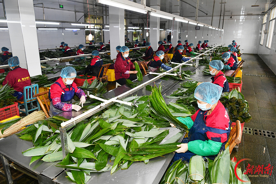 一片粽叶助农增收