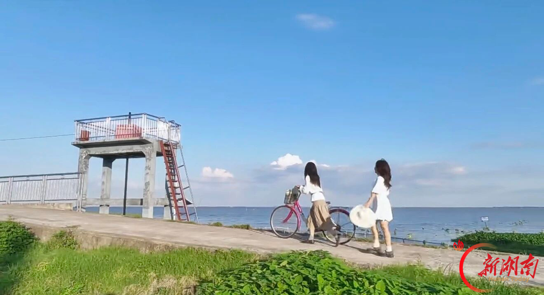 沿着藕池河看家乡|寻梦青树嘴