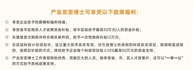 最新!长沙市望城区公布2026年产业人才需求清单