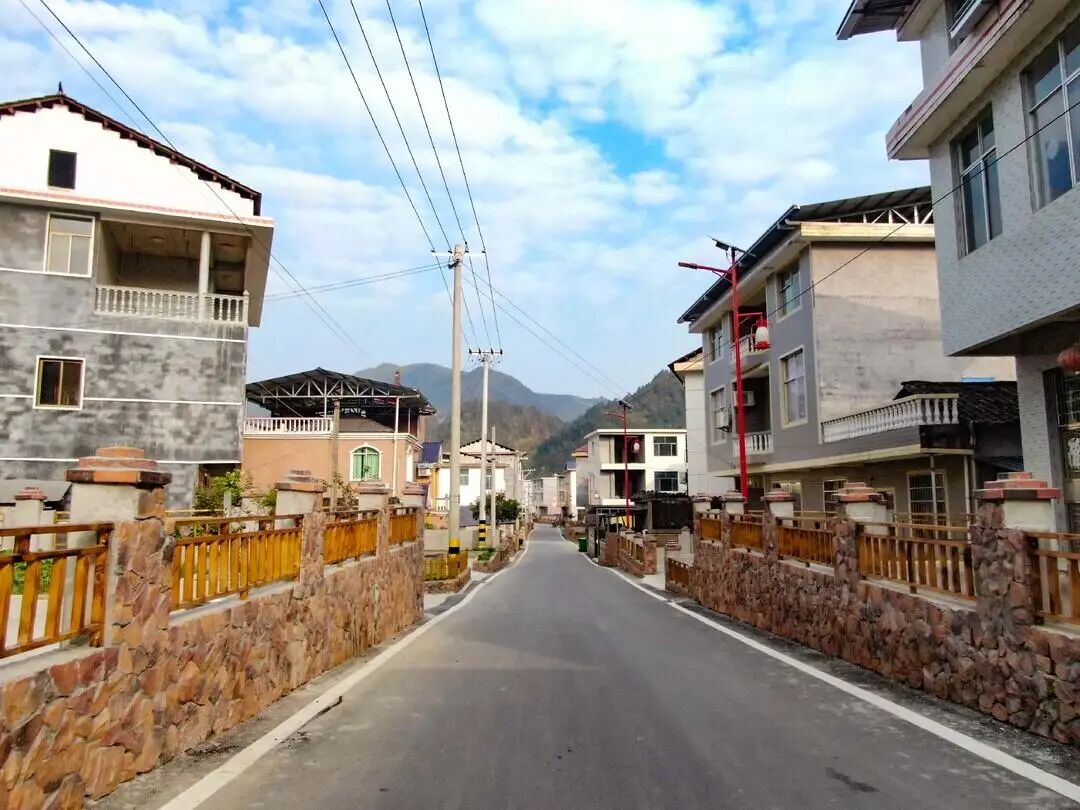 深耕乡土兴百业 绘就乡村振兴新图景