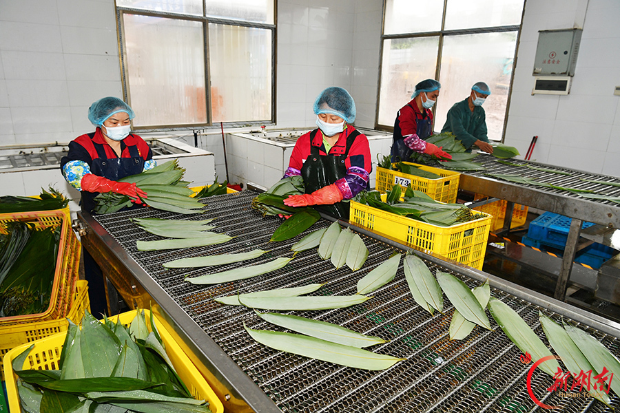 一片粽叶助农增收