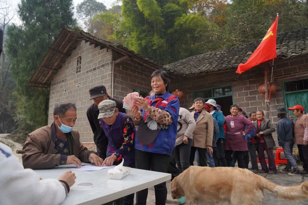 深耕乡土兴百业 绘就乡村振兴新图景