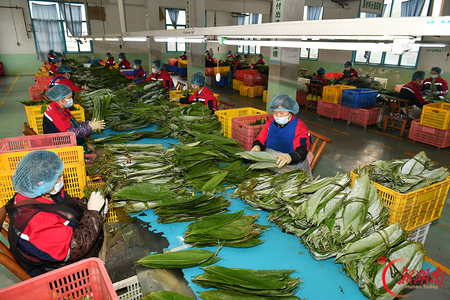 一片粽叶助农增收