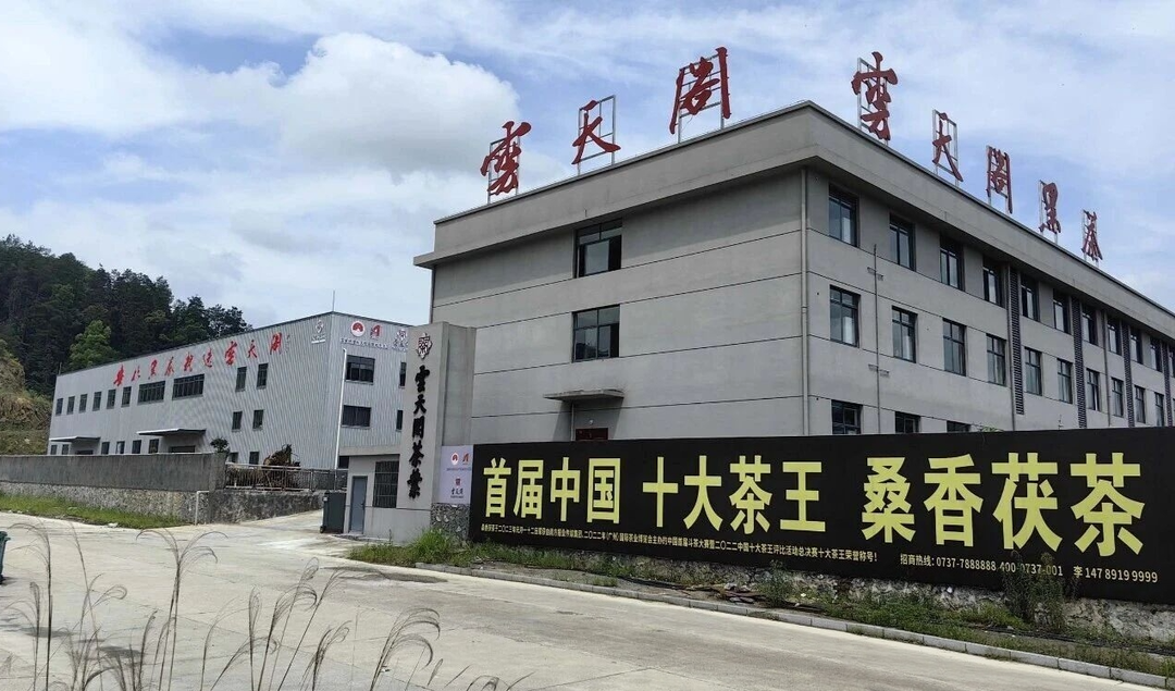 茶痴木拐李 丹心铸茶香——记云天阁茶业董事长李云与他的安化黑茶创新之路