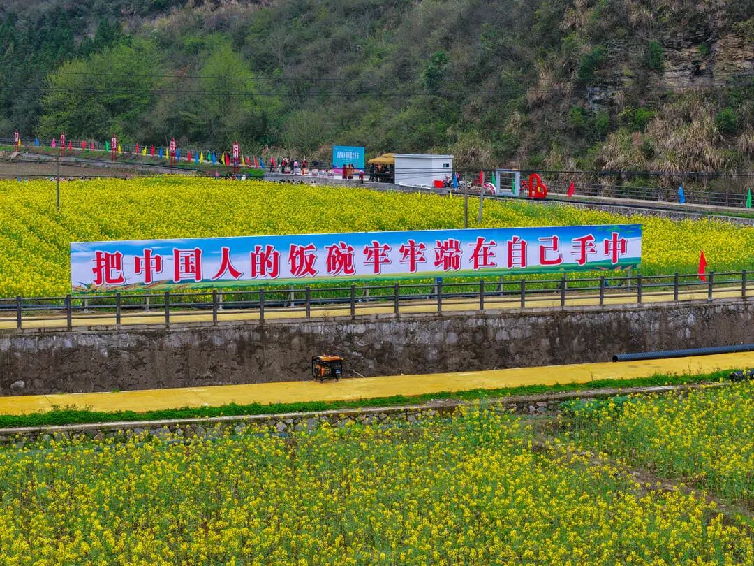 深耕乡土兴百业 绘就乡村振兴新图景