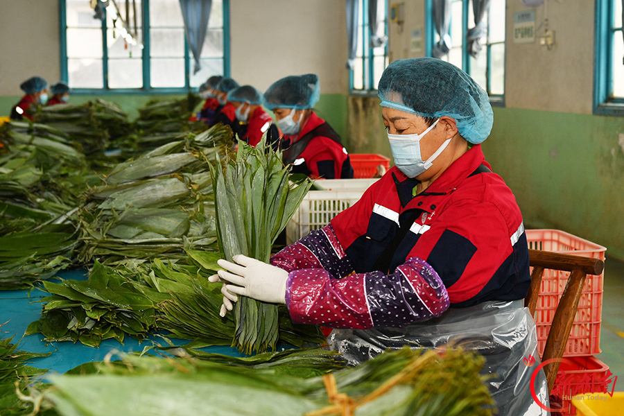 一片粽叶助农增收