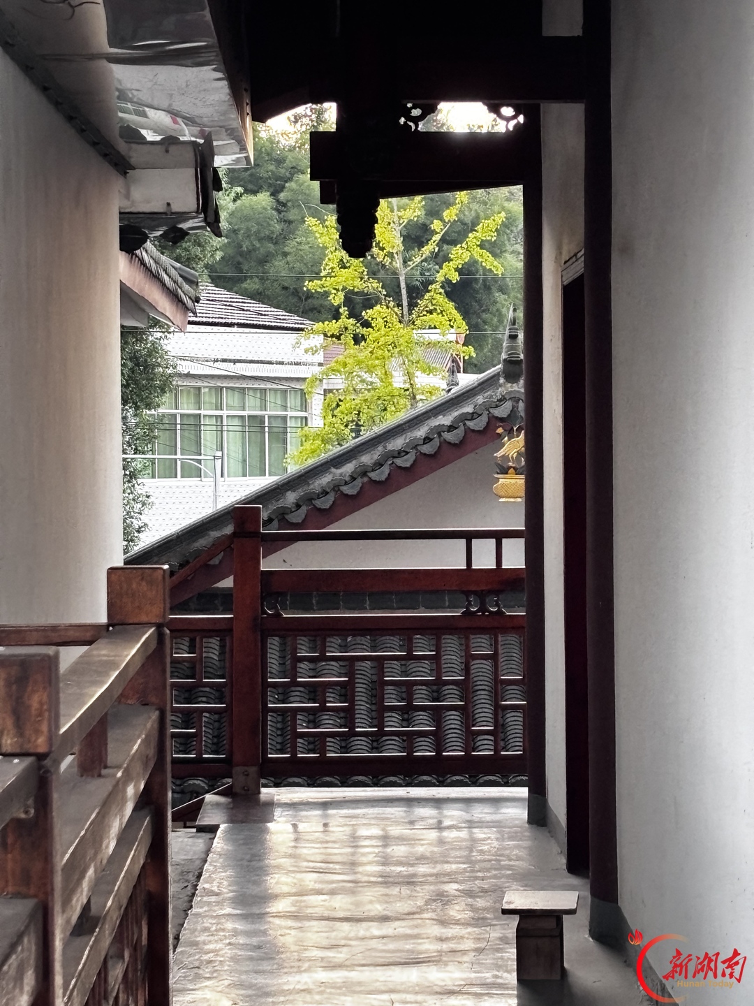 寻秋有“果”,一大波秋日佳作赴约而来