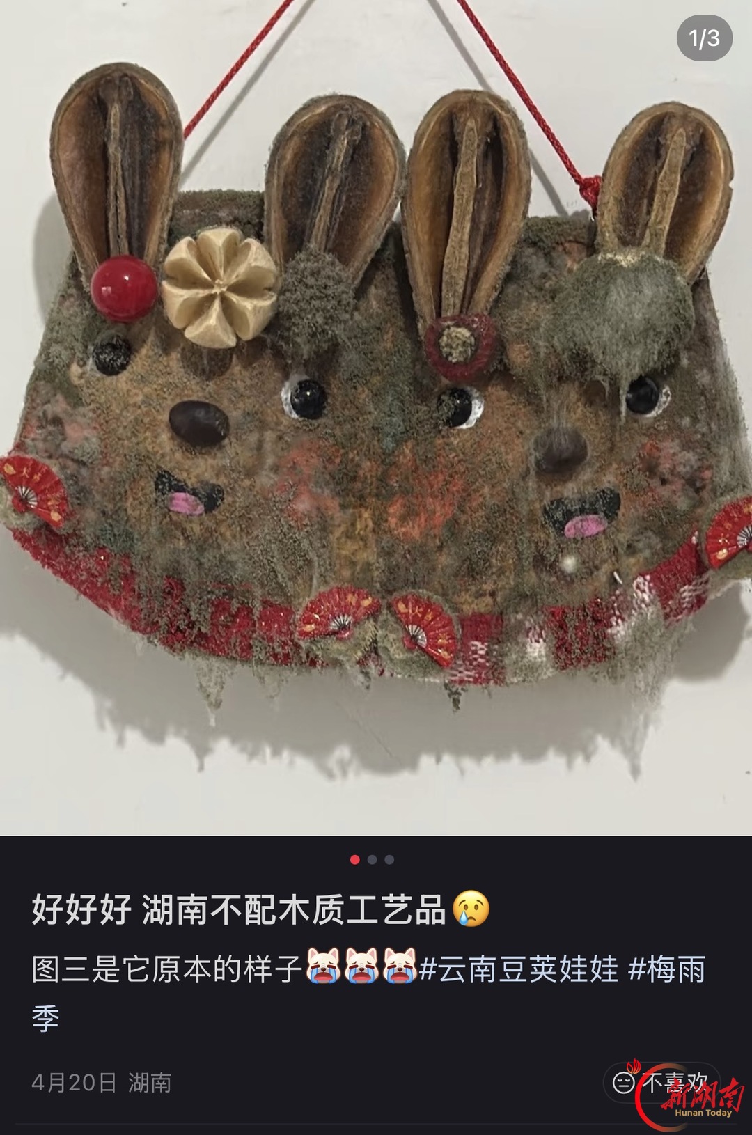 这个秋天手工豆荚娃娃火了,南方注意防霉变、儿童注意别误食|消费新观察