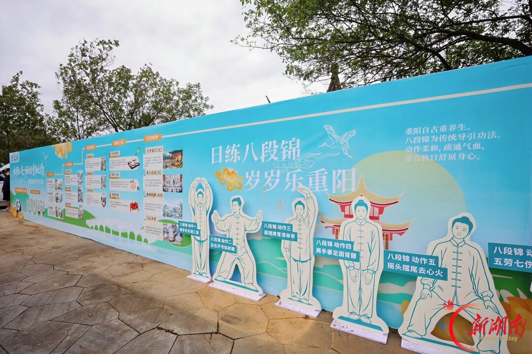 从“小朋友”到“老朋友”,岳阳南湖这场重阳徒步“走”出新花样