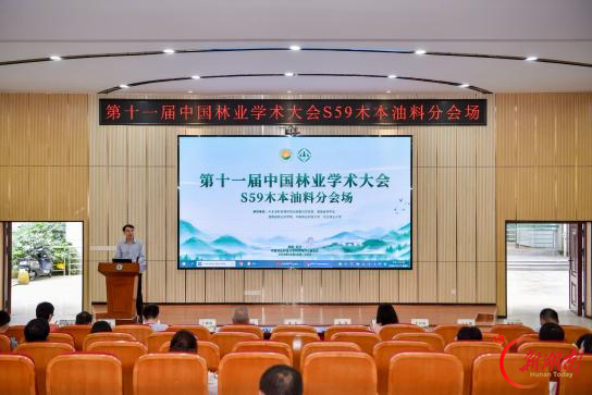 破局林草转型!院士专家开方:让学问出“孤岛”,给绿色装“大脑”
